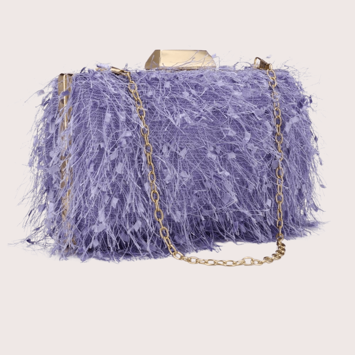 Pochette Violette de Luxe pour Femme